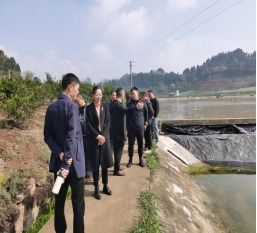 守護(hù)一泓清流 簡陽金堂攜手推進(jìn)水產(chǎn)養(yǎng)殖尾水治理，共護(hù)陽化河流域生態(tài)