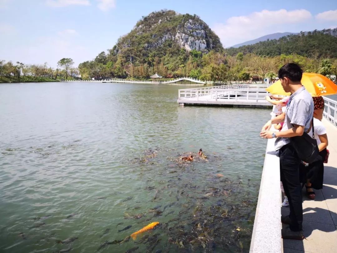 七星巖里湖水污染治理成效顯著 碧湖如鏡，映照綠色發(fā)展之路