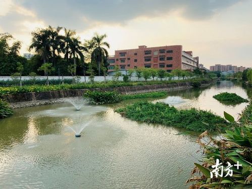 營造水清岸綠 石排水污染治理與人居環(huán)境改善的環(huán)保技術(shù)開發(fā)服務(wù)實(shí)踐